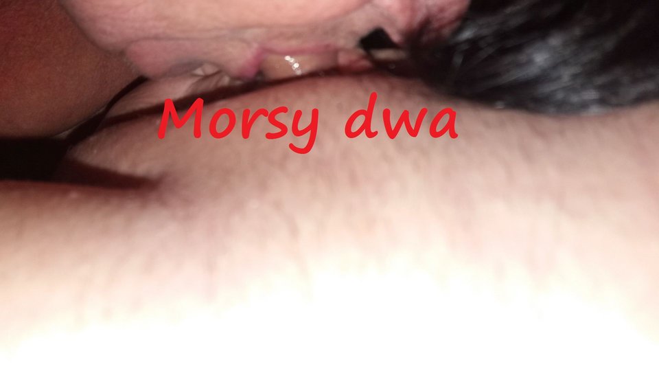 Lody - Morsy_dwa