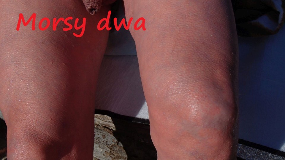 babie Doły. - Morsy_dwa