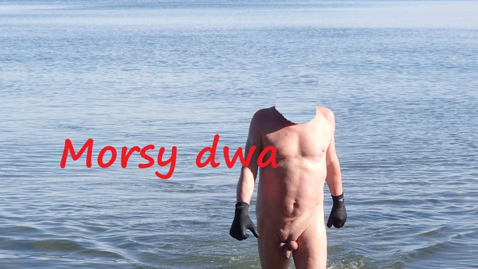 Babie Doły - Morsy_dwa