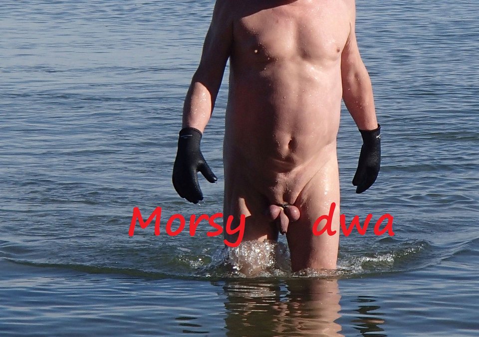 Babie Doły - Morsy_dwa