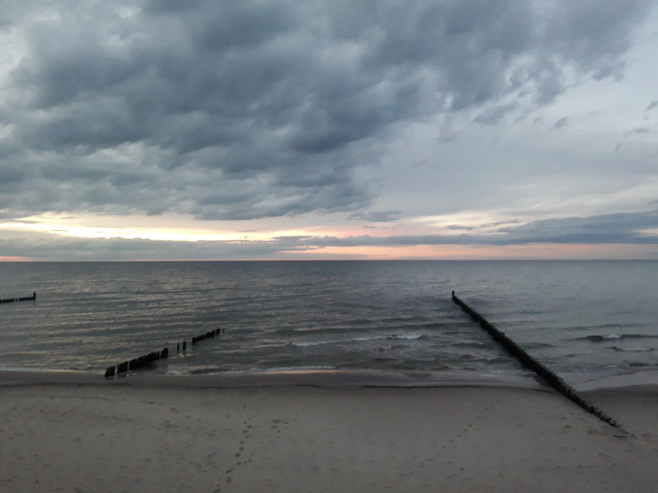 20190307_175626.jpg - Mikebazowski