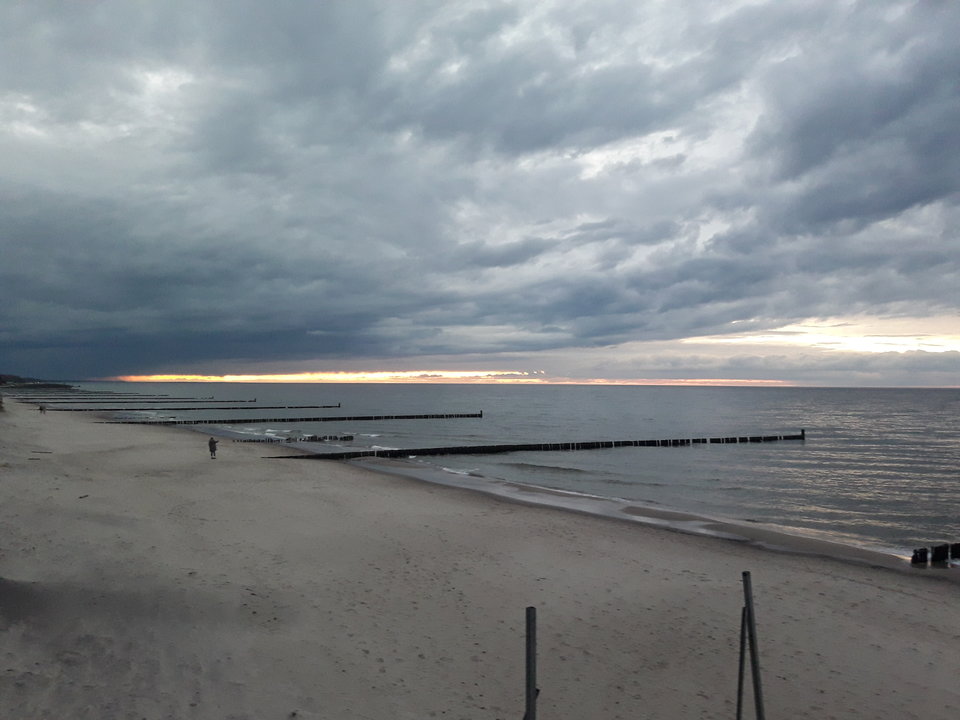 20190307_175619.jpg - Mikebazowski