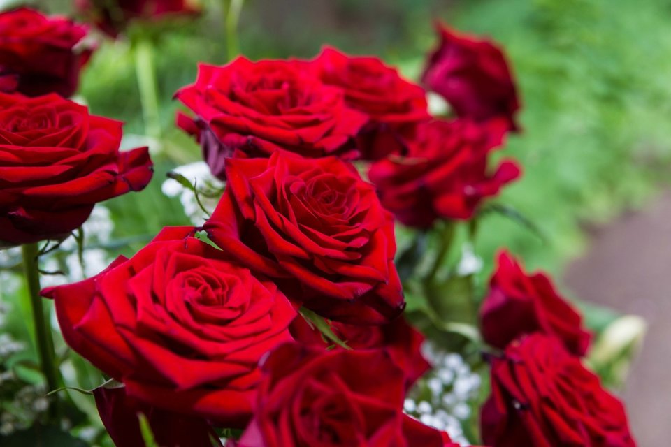 58bd25f00b80b_o_full.jpg - franek12001