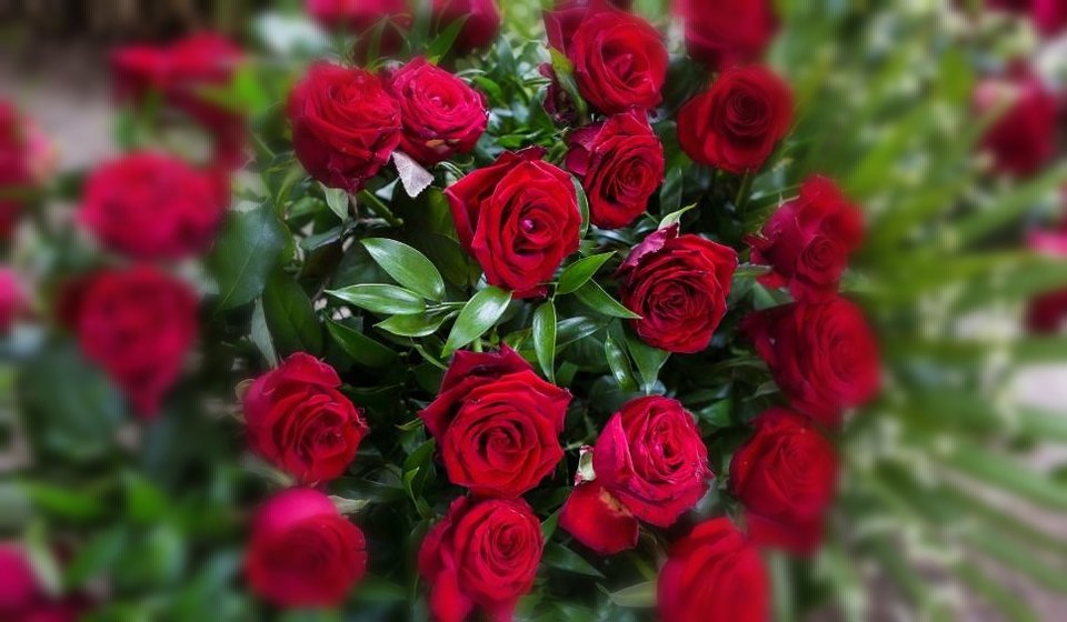 IMG_20190308_062800.jpg - biparkalodz