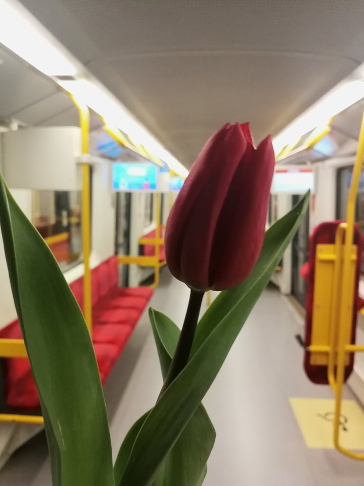 IMG_20190308_173640.jpg - drift1980