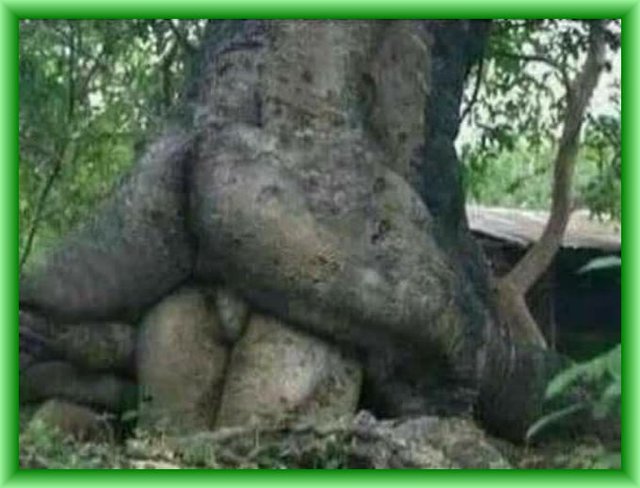 30571676_1945609125752464_5493950469430575104_n.jpg - sylwester1963bis