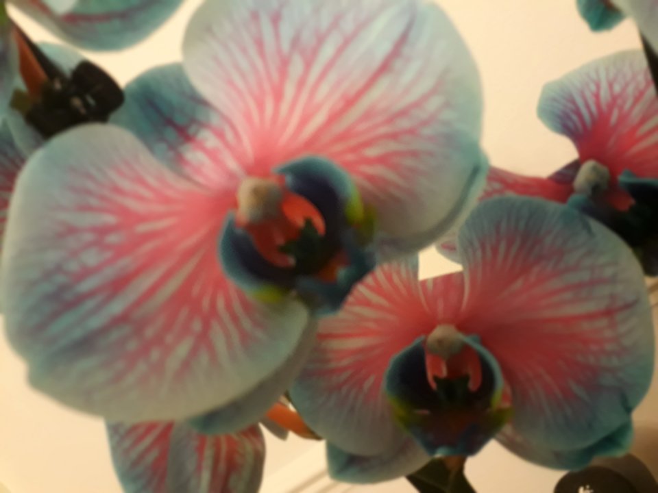 ;).jpg - sexydolly69