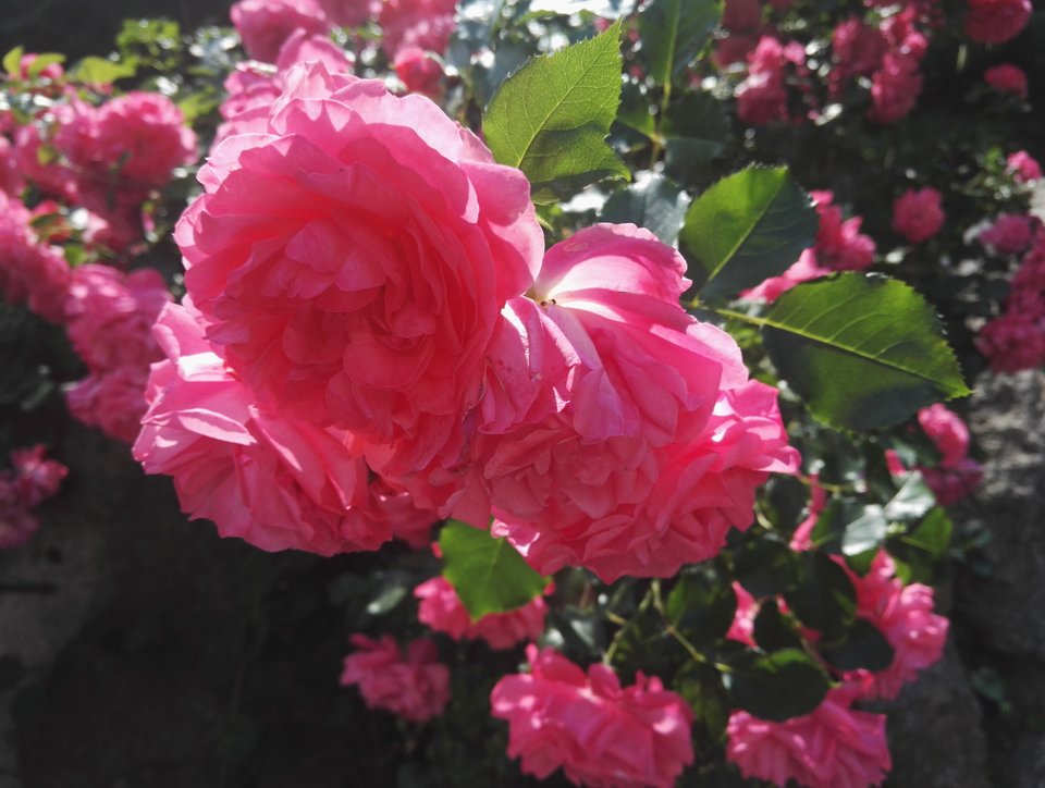 IMG_20180616_144709.jpg - SheSexyWroc