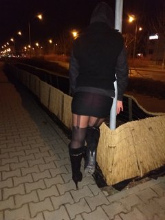 Suka na spacerze. ..