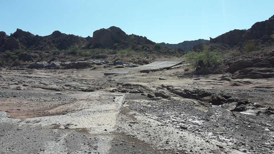 20160106_100602.jpg - sediento11