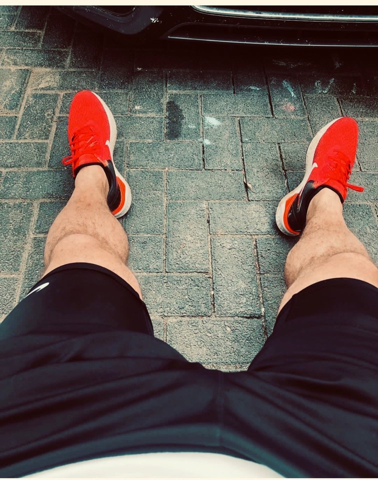 IMG-0952.JPG - enzoxx