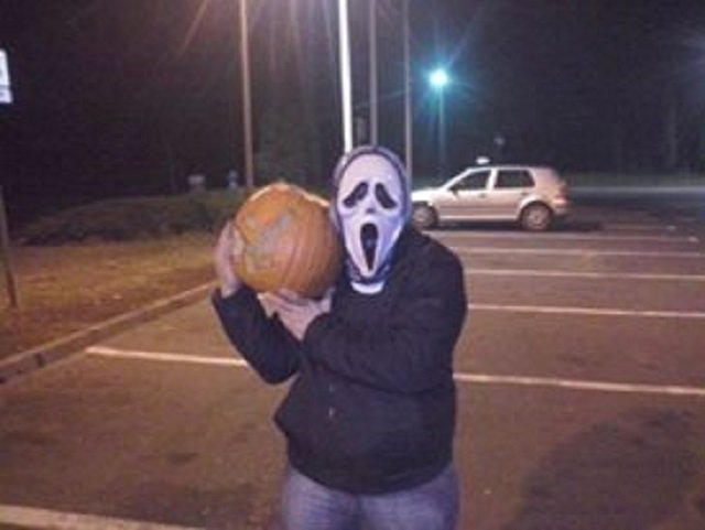 247168_598292826966811_3312091654952069336_n.jpg - Harribos