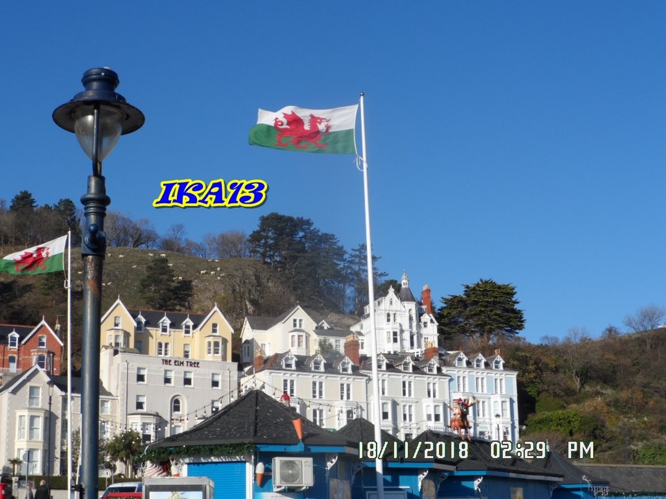 SAM_1719.JPG - ika13
