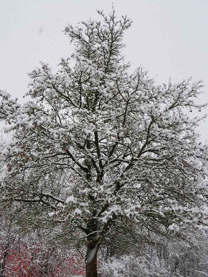 Nie lubię poniedziałków. . . - Jack061
