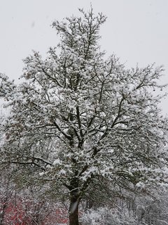 Nie lubię poniedziałków. . .