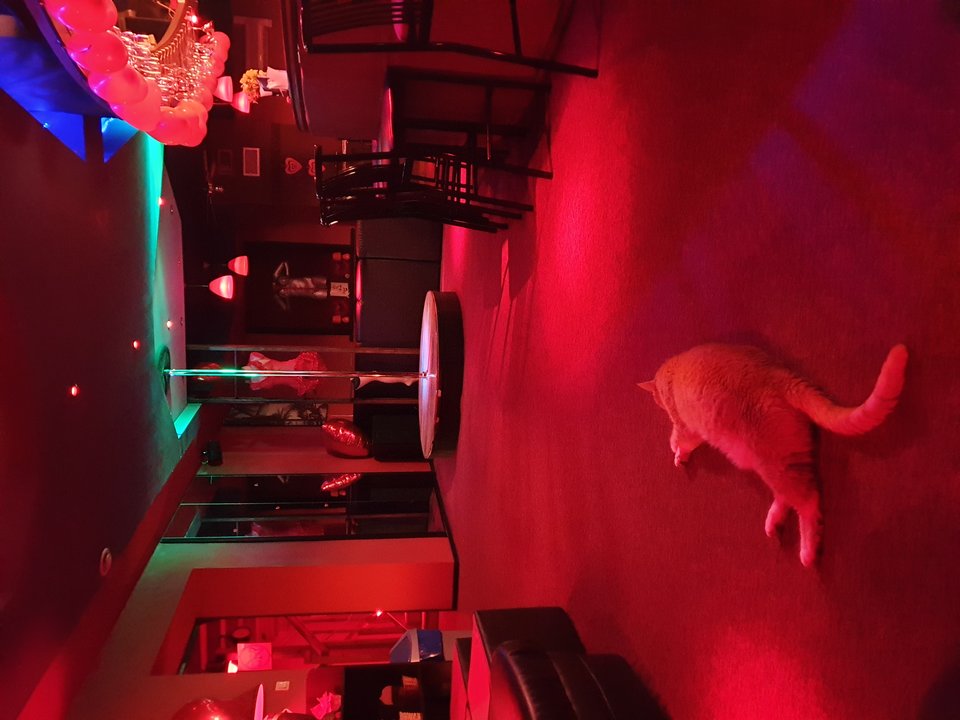 20190309_063544.jpg - Simonski