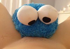 eat the cookie!