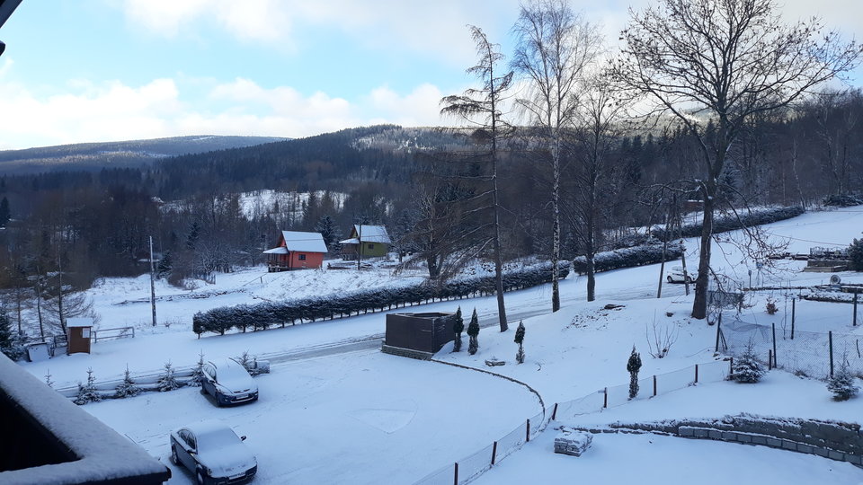 20190312_071303.jpg - Robertooooo73