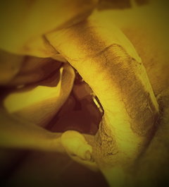 IMG_4953-picsay.jpg