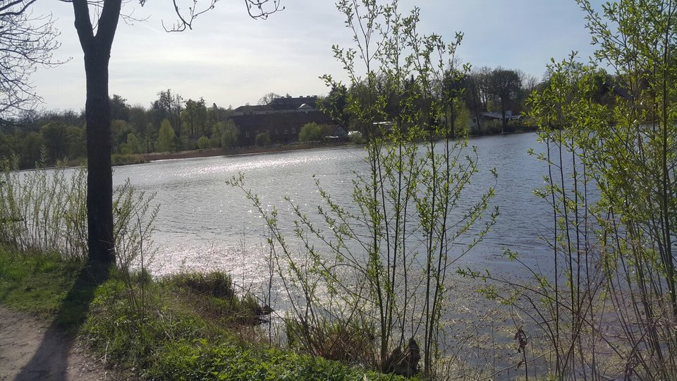 136.jpg - reporter13