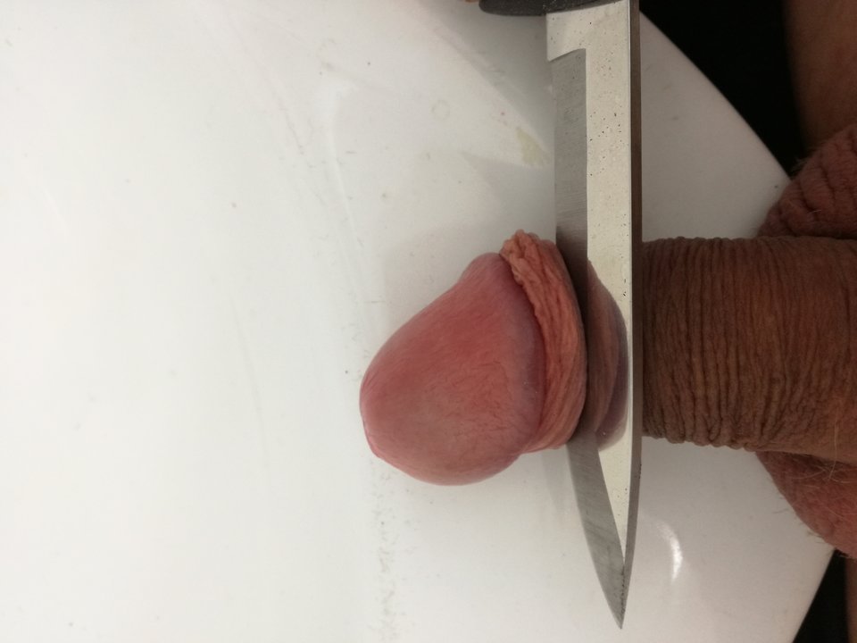 IMG_20190312_142238.jpg - Jestemzajett