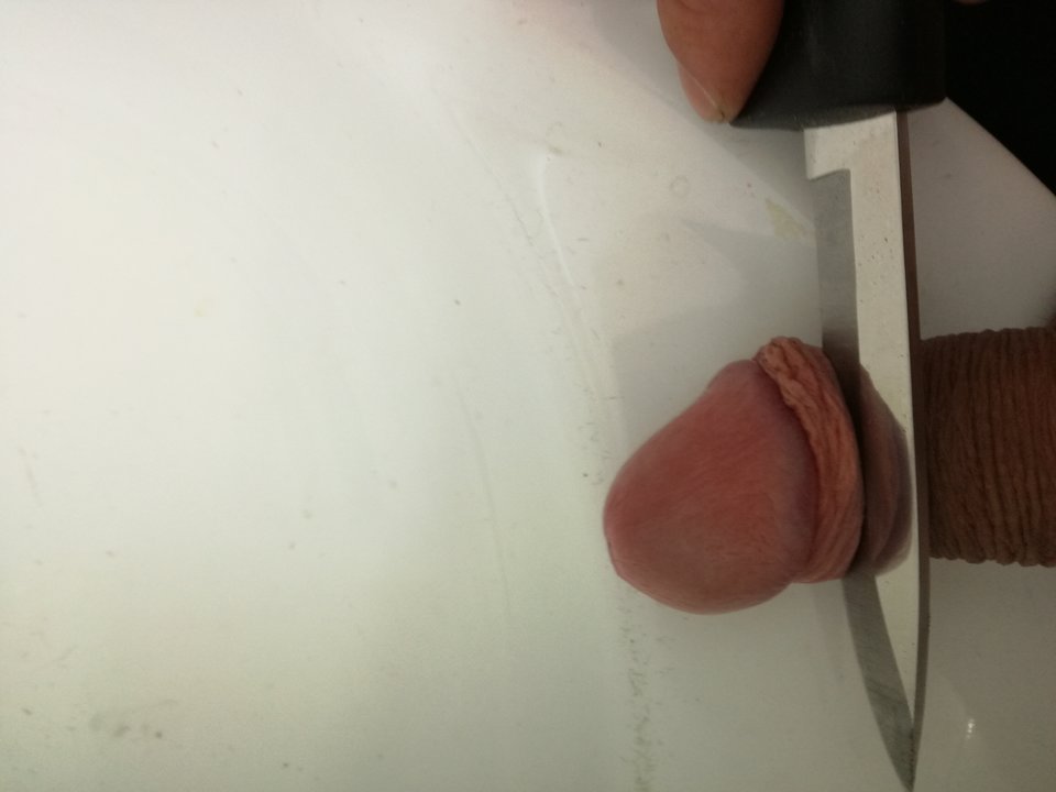 IMG_20190312_142234.jpg - Jestemzajett