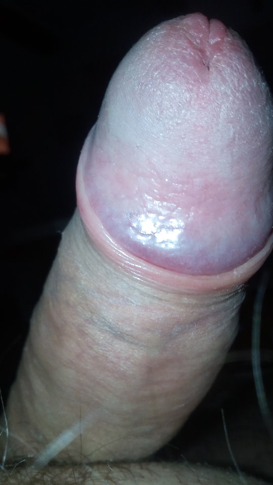 IMG_20190312_153823.jpg - DajeWam