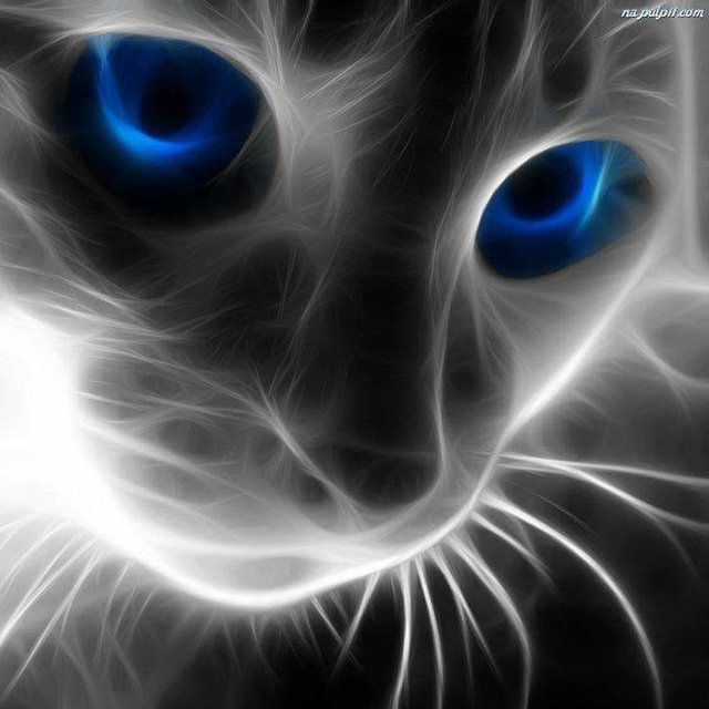 30742878_10216605775125527_7944215636622704640_n.jpg - Staszek700