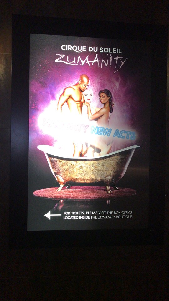 4083132D-96E8-4264-9EA6-BA662A8790CC.jpeg - ternate3