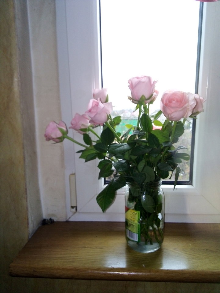 IMG_20190310_150040.jpg - iwona_2_2_8