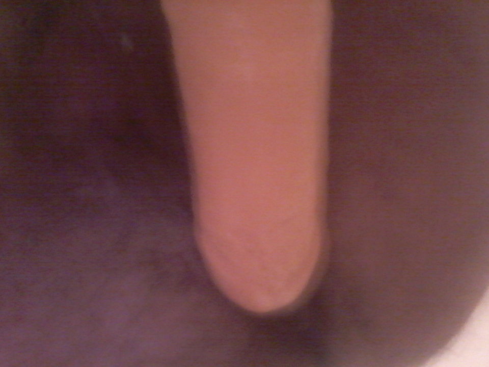 20190317_044938.jpg - gawel2323