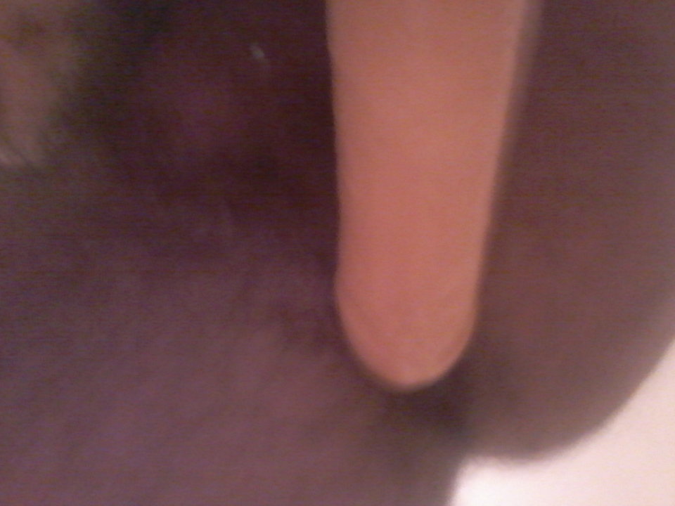 20190317_044931.jpg - gawel2323