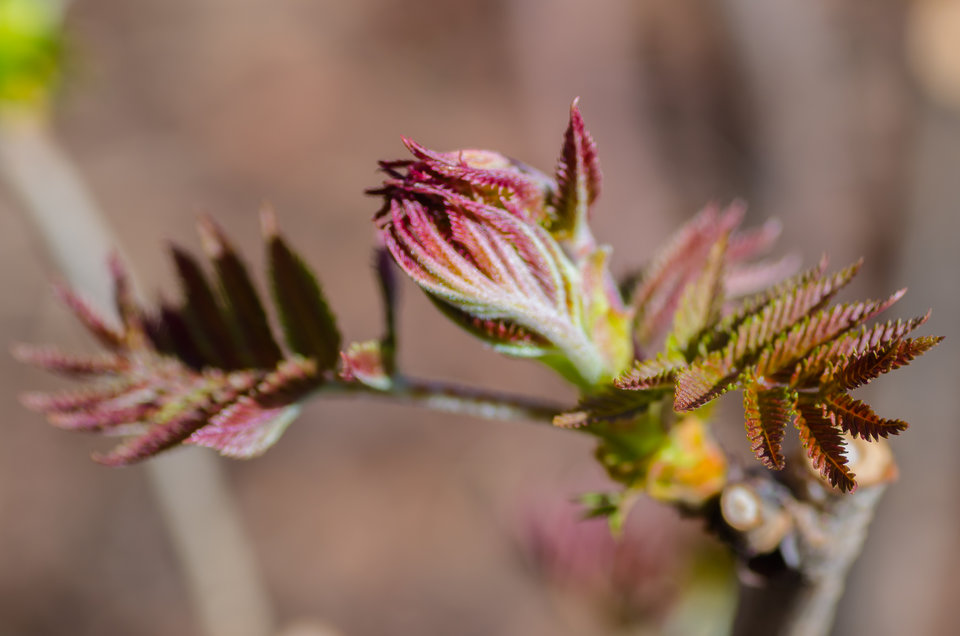 Przebudzenie - mystic