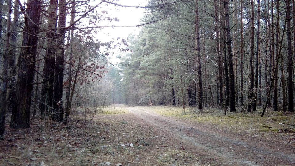 20190317_162821.jpg - 1radosnaparka