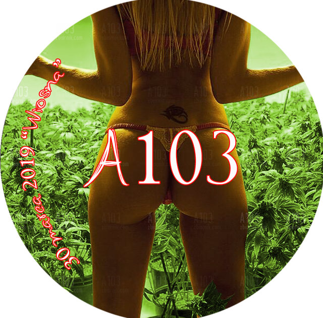 A103