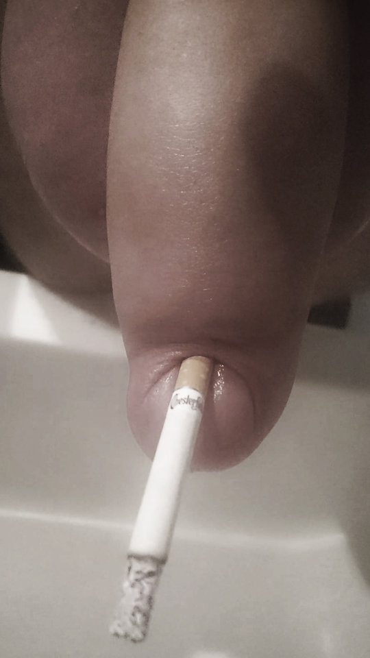 384_1000.jpg - RATCVAC