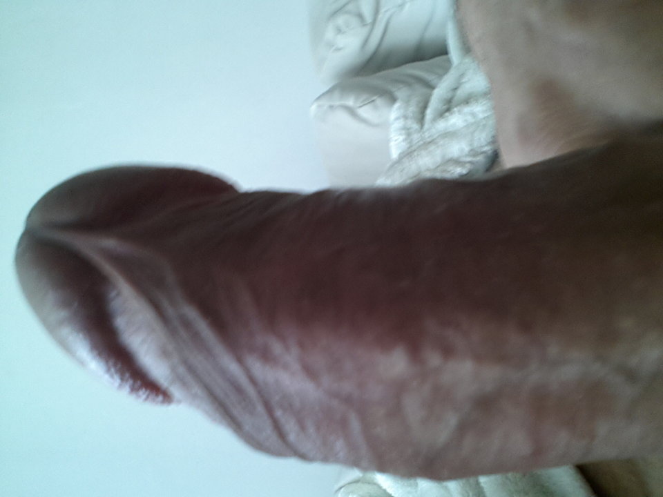 1552978249001909171253.jpg - bakadlo