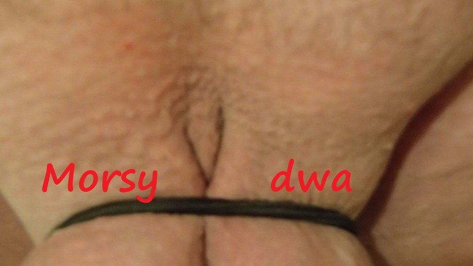 Impresje na ................. ! - Morsy_dwa