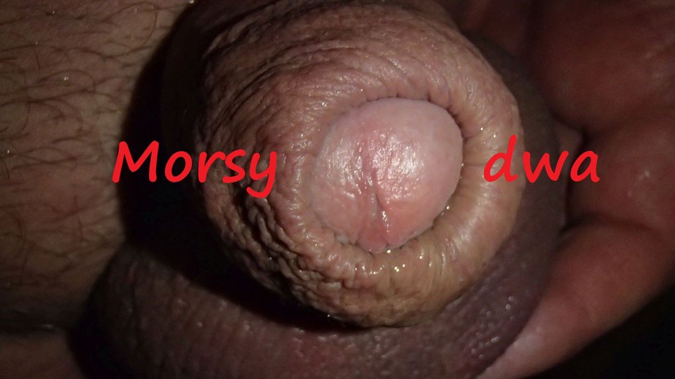 Impresje na ................. ! - Morsy_dwa