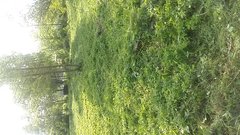 MSGR_PHOTO_FOR_UPLOAD_1525878061540.jpg_1525878063689.jpeg