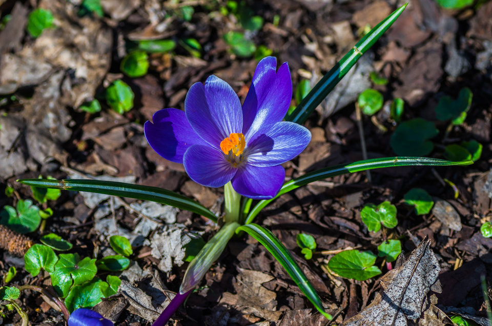 I jeszcze jeden ;) - mystic