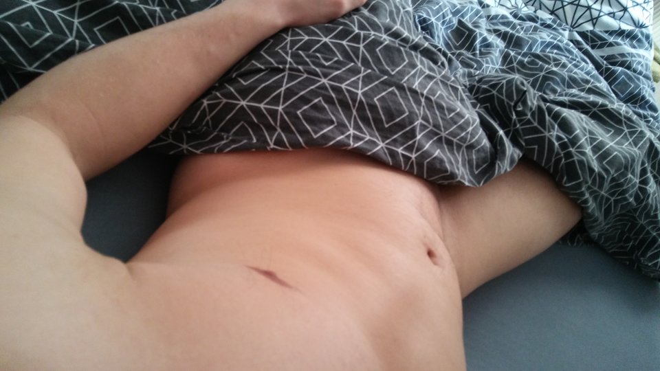 15531501533891044865334.jpg - PanLandrynka