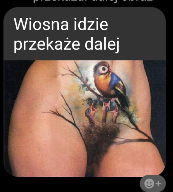 IMG-20190320-WA0000.jpg - artex7211