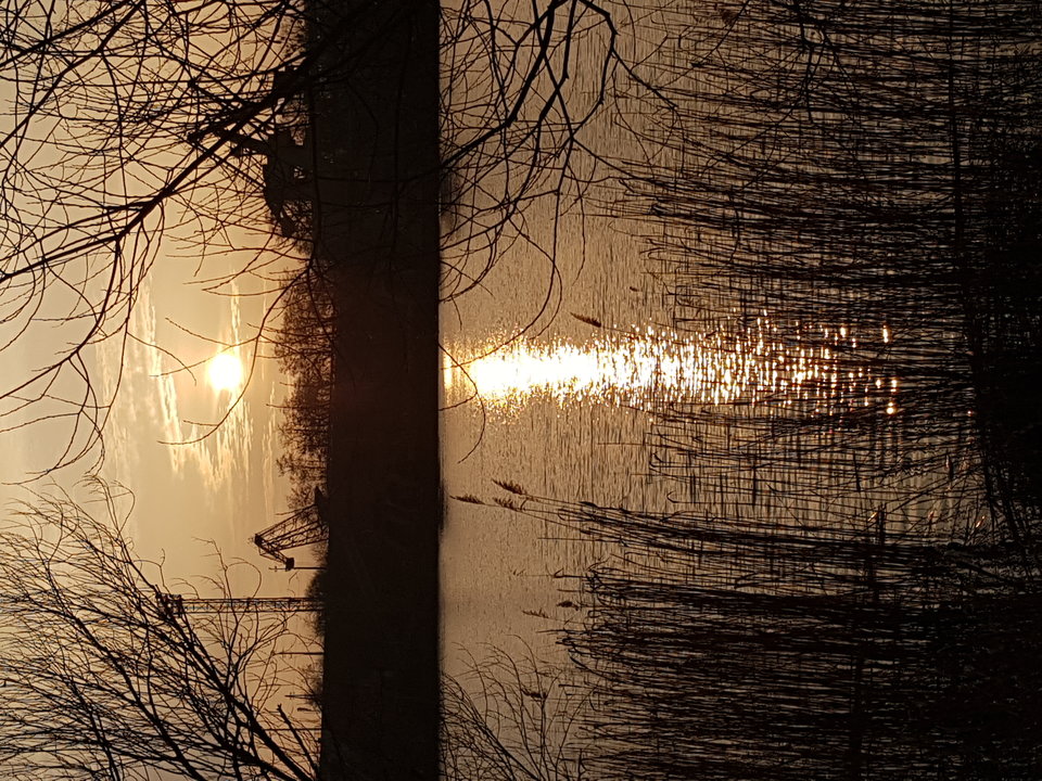 20190321_173852.jpg - amour69