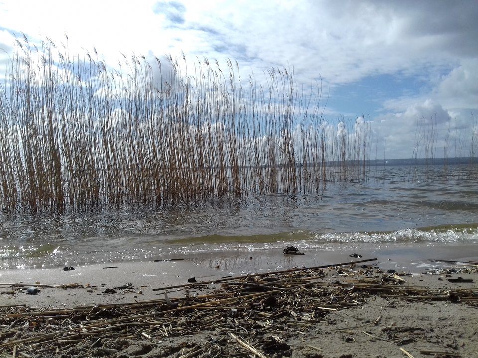 20190319_124233.jpg - torii99