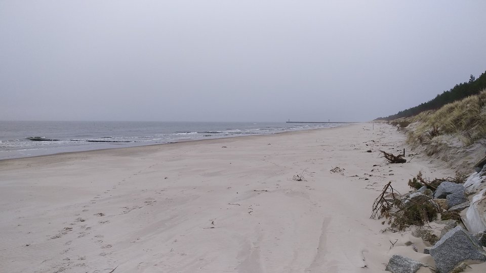 IMG_20190322_101713.jpg - bobb2