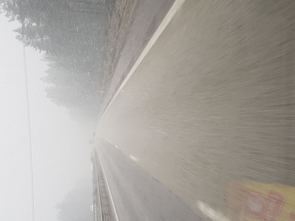 20190308_160946.jpg - Tino1010