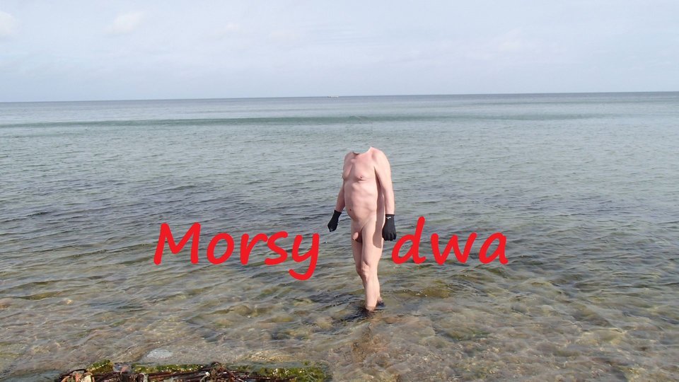 Babie Doły. Wiosna 2019. - Morsy_dwa