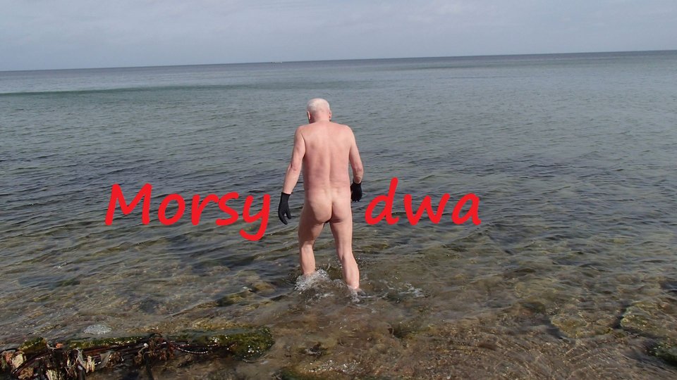 Babie Doły. Wiosna 2019. - Morsy_dwa