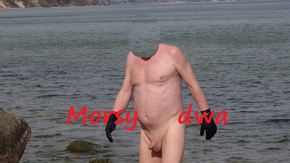 Babie Doły. Wiosna 2019. - Morsy_dwa